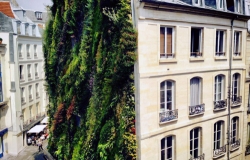 Vertikalna bašta za Nedelju dizajna u Parizu