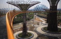 U Singapuru niče najčudniji park na svetu