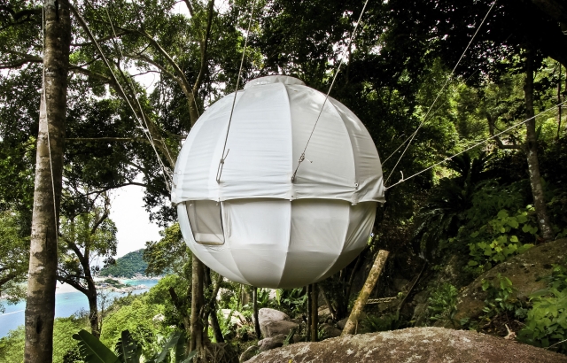 Čaura: lagana, sferična kućica na drvetu