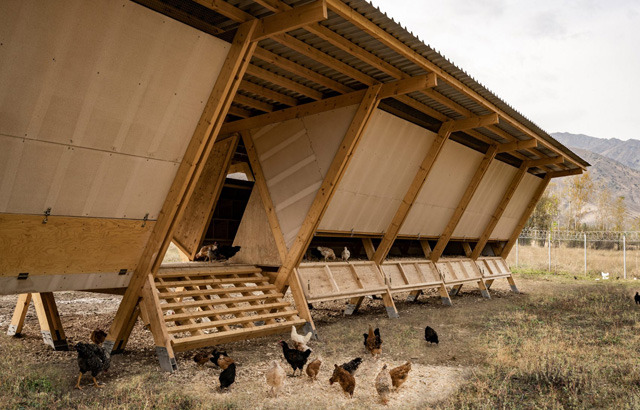 Modularni kokošinjac na farmi u Turskoj
