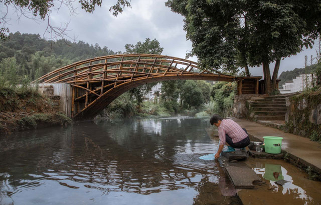 Most od bambusa