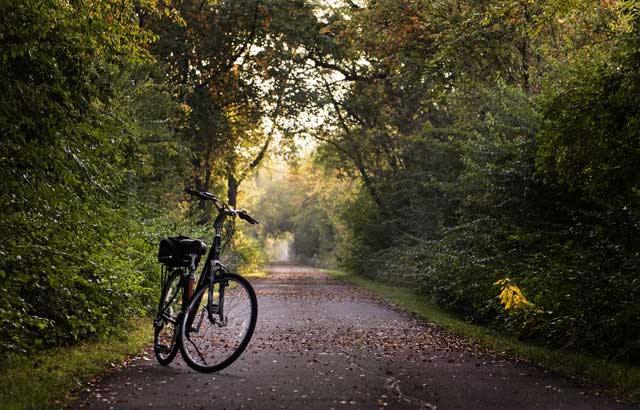 Izgradnja biciklističkih staza poboljšaće zdravlje ljudi i sačuvati prirodu