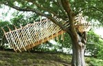Dramatična kućica na drvetu je pletena od drveta nalik ptičijem gnezdu